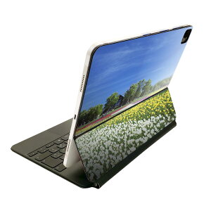 Magic Keyboard �p �X�L���V�[�� 11�C���` iPad Pro�p ��1-4���� iPad Air ��4-5���� �Ή� �S�ʃX�L���V�[�� �t�� �O�� �w�� �ی�V�[�� �l�C 009771 �@�ԁ@�ʐ^