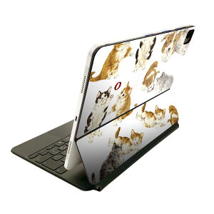 Magic Keyboard �p �X�L���V�[�� 11�C���` iPad Pro�p ��1-4���� iPad Air ��4-5���� �Ή� �S�ʃX�L���V�[�� �t�� �O�� �w�� �ی�V�[�� �l�C 009839 �����@���@�L