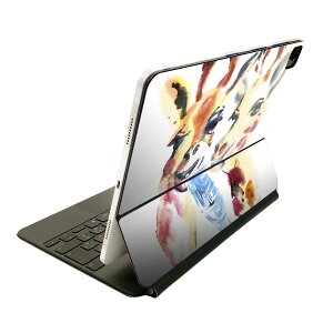 Magic Keyboard p XLV[ 11C` iPad Prop 1-4 iPad Air 4-5 Ή SʃXLV[ t O w یV[ lC 010944 @Fʁ@}CN