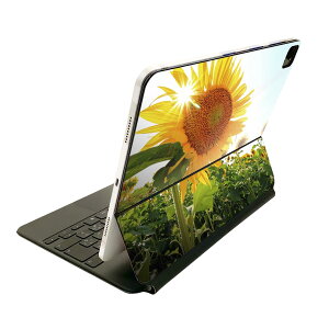 Magic Keyboard 12.9C` iPad Proi4A5A6jΉ apple Abv ACpbh SʃXLV[ t O w یV[ lC ԁ@Ђ܂@ʐ^ 011440