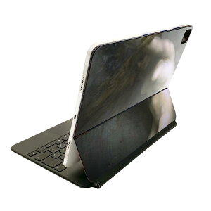Magic Keyboard p XLV[ 11C` iPad Prop 1-4 iPad Air 4-5 Ή SʃXLV[ t O w یV[ lC 011458 CXg@l@G