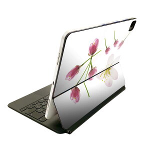 Magic Keyboard �p �X�L���V�[�� 11�C���` iPad Pro�p ��1-4���� iPad Air ��4-5���� �Ή� �S�ʃX�L���V�[�� �t�� �O�� �w�� �ی�V�[�� �l�C 012850 ���@�ԁ@�t