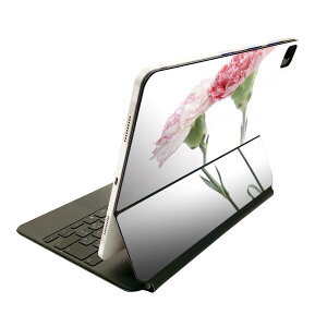 Magic Keyboard p XLV[ 11C` iPad Prop 1-4 iPad Air 4-5 Ή SʃXLV[ t O w یV[ lC 012938 ̓@J[l[V@