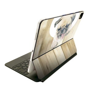 Magic Keyboard p XLV[ 11C` iPad Prop 1-4 iPad Air 4-5 Ή SʃXLV[ t O w یV[ lC 013529 @pO@n[g