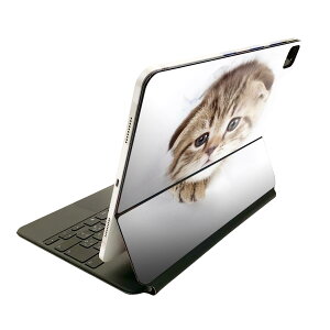 Magic Keyboard 12.9C` iPad Proi4A5A6jΉ apple Abv ACpbh SʃXLV[ t O w یV[ lC L@ʐ^@qL 013568
