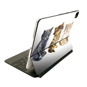 Magic Keyboard 12.9C` iPad Proi4A5A6jΉ apple Abv ACpbh SʃXLV[ t O w یV[ lC L@@Aj} 014023