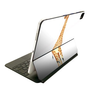 Magic Keyboard p XLV[ 11C` iPad Prop 1-4 iPad Air 4-5 Ή SʃXLV[ t O w یV[ lC 014135 @@Aj}