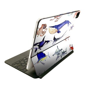 Magic Keyboard 12.9C` iPad Proi4A5A6jΉ apple Abv ACpbh SʃXLV[ t O w یV[ lC @C@ 014788