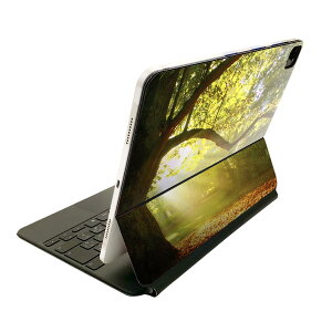 Magic Keyboard p XLV[ 11C` iPad Prop 1-4 iPad Air 4-5 Ή SʃXLV[ t O w یV[ lC 014991 iF@R@i@ʐ^@؁@