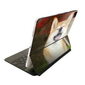 Magic Keyboard p XLV[ 11C` iPad Prop 1-4 iPad Air 4-5 Ή SʃXLV[ t O w یV[ lC 015611 @킢@Č