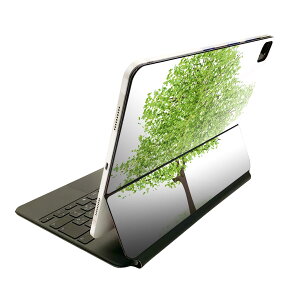 Magic Keyboard 12.9C` iPad Proi4A5A6jΉ apple Abv ACpbh SʃXLV[ t O w یV[ lC ؁@؁@R@A 015657