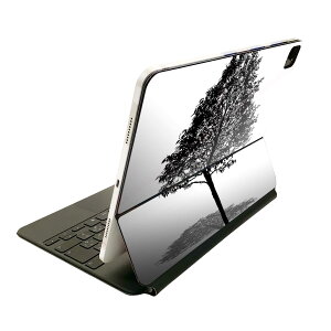 Magic Keyboard 12.9�C���` iPad Pro�i��4����A��5����A��6����j�Ή� apple �A�b�v�� �A�C�p�b�h�@�S�ʃX�L���V�[�� �t�� �O�ʁ@�w�� �ی�V�[�� �l�C 015665 �؁@���؁@���R�@�A���@���m�N��