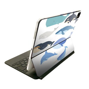 Magic Keyboard �p �X�L���V�[�� 11�C���` iPad Pro�p ��1-4���� iPad Air ��4-5���� �Ή� �S�ʃX�L���V�[�� �t�� �O�� �w�� �ی�V�[�� �l�C 015822 ���@������@�V���`