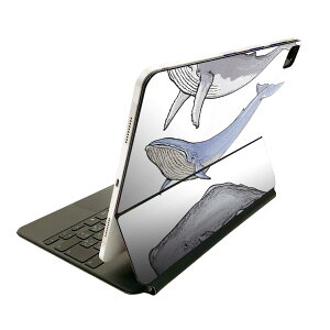 Magic Keyboard 12.9C` iPad Proi4A5A6jΉ apple Abv ACpbh@SʃXLV[ t Oʁ@w یV[ lC 015851 @@C