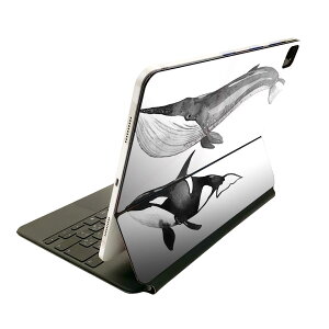 Magic Keyboard p XLV[ 11C` iPad Prop 1-4 iPad Air 4-5 Ή SʃXLV[ t O w یV[ lC 016066 V`@@NW