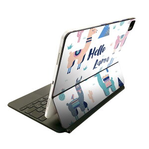 Magic Keyboard 12.9�C���` iPad Pro�i��4����A��5����A��6����j�Ή� apple �A�b�v�� �A�C�p�b�h�@�S�ʃX�L���V�[�� �t�� �O�ʁ@�w�� �ی�V�[�� �l�C 016366 �A���p�J�@�p��