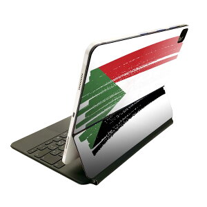 Magic Keyboard p XLV[ 11C` iPad Prop 1-4 iPad Air 4-5 Ή SʃXLV[ t O w یV[ lC 018569  sudan X[_