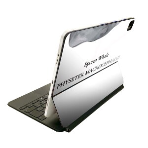 Magic Keyboard p XLV[ 11C` iPad Prop 1-4 iPad Air 4-5 Ή SʃXLV[ t O w یV[ lC 019742 fUC C̐ }bRENW sperm whale
