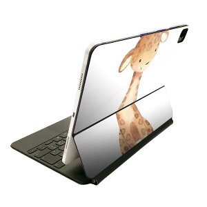 Magic Keyboard p XLV[ 11C` iPad Prop 1-4 iPad Air 4-5 Ή SʃXLV[ t O w یV[ lC 019755 fUC  킢 i