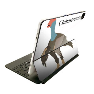 Magic Keyboard 12.9C` iPad Proi4A5A6jΉ apple Abv ACpbh@SʃXLV[ t Oʁ@w یV[ lC 019774   Chirostenotes LXemeX