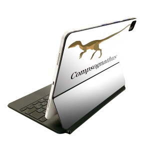 Magic Keyboard p XLV[ 11C` iPad Prop 1-4 iPad Air 4-5 Ή SʃXLV[ t O w یV[ lC 019776   Compsognathus Rv\OigDX