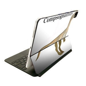 Magic Keyboard 12.9C` iPad Proi4A5A6jΉ apple Abv ACpbh@SʃXLV[ t Oʁ@w یV[ lC 019778   Compsognathus Rv\OigDX