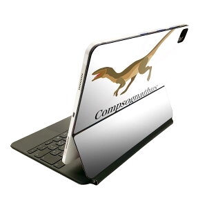 Magic Keyboard 12.9C` iPad Proi4A5A6jΉ apple Abv ACpbh@SʃXLV[ t Oʁ@w یV[ lC 019779   Compsognathus Rv\OigDX