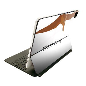 Magic Keyboard p XLV[ 11C` iPad Prop 1-4 iPad Air 4-5 Ή SʃXLV[ t O w یV[ lC 019802