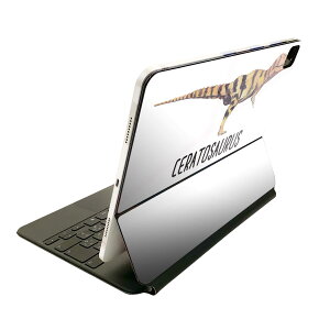 Magic Keyboard 12.9C` iPad Proi4A5A6jΉ apple Abv ACpbh@SʃXLV[ t Oʁ@w یV[ lC 019808   Ceratosaurus PgTEX