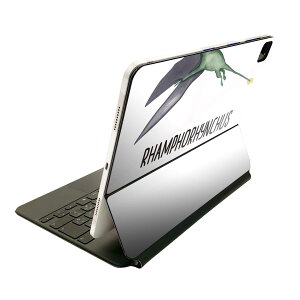 Magic Keyboard 12.9C` iPad Proi4A5A6jΉ apple Abv ACpbh@SʃXLV[ t Oʁ@w یV[ lC 019825   Rhamphorhynchus tHNX
