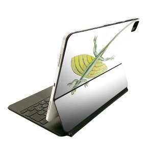 Magic Keyboard 12.9�C���` iPad Pro�i��4����A��5����A��6����j�Ή� apple �A�b�v�� �A�C�p�b�h�@�S�ʃX�L���V�[�� �t�� �O�ʁ@�w�� �ی�V�[�� �l�C 019832 ���� ���� Xianglong �V��������