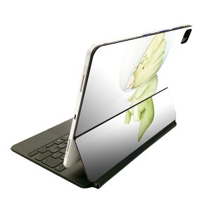 Magic Keyboard 12.9�C���` iPad Pro�i��4����A��5����A��6����j�Ή� apple �A�b�v�� �A�C�p�b�h�@�S�ʃX�L���V�[�� �t�� �O�ʁ@�w�� �ی�V�[�� �l�C 019839 ���� �F�� ���� dinosaur