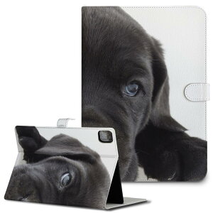 iPad10.9 10 iPadPro13(M4) iPadPro11(M4) iPadPro111/2/3 iPadMini 6 iPadAir4 iPadAir13(M2) p ^ubg P[X Apple Abv iPadpP[X 蒠^ Jo[ ܂ v   t`u