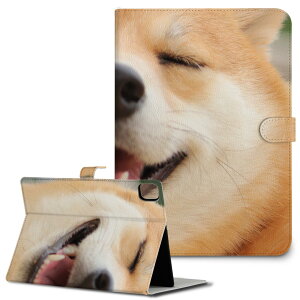 iPad10.9 10 iPadPro13(M4) iPadPro11(M4) iPadPro111/2/3 iPadMini 6 iPadAir4 iPadAir13(M2) p ^ubg P[X Apple Abv iPadpP[X 蒠^ Jo[ ܂ v @Č 000926