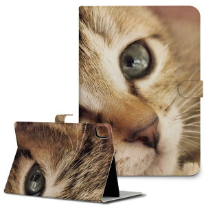 iPad10.9 10 iPadPro13(M4) iPadPro11(M4) iPadPro111/2/3 iPadMini 6 iPadAir4 iPadAir13(M2) p ^ubg P[X Apple Abv iPadpP[X 蒠^ Jo[ ܂ v lR@ 001172