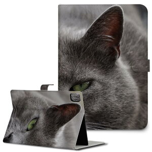 iPad10.9 第10世代 iPadPro13(M4) iPadPro11(M4) iPadPro11第1/2/3世代 iPadMini 第6世代 iPadAir第4世代 iPadAir13(M2) 用 タブレット ケース Apple アップル iPad専用ケース 手帳型 カバー 二つ折り 革 猫 動物 写真 002