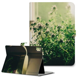 iPad10.9 10 iPadPro13(M4) iPadPro11(M4) iPadPro111/2/3 iPadMini 6 iPadAir4 iPadAir13(M2) p ^ubg P[X Apple Abv iPadpP[X 蒠^ Jo[ ܂ v ԁ@A@ʐ^ 023