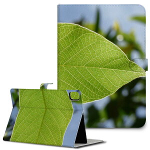 iPad10.9 10 iPadPro13(M4) iPadPro11(M4) iPadPro111/2/3 iPadMini 6 iPadAir4 iPadAir13(M2) p ^ubg P[X Apple Abv iPadpP[X 蒠^ Jo[ ܂ v A@t@ 025900