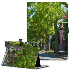 iPad10.9 10 iPadPro13(M4) iPadPro11(M4) iPadPro111/2/3 iPadMini 6 iPadAir4 iPadAir13(M2) p ^ubg P[X Apple Abv iPadpP[X 蒠^ Jo[ ܂ v f@ؓ