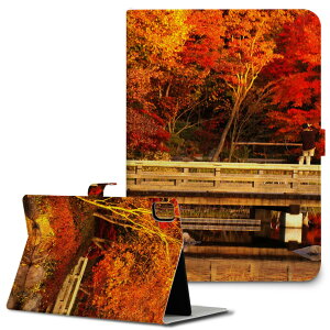 iPad10.9 ��10���� iPadPro13(M4) iPadPro11(M4) iPadPro11��1/2/3���� iPadMini ��6���� iPadAir��4���� iPadAir13(M2) �p �^�u���b�g �P�[�X Apple �A�b�v�� iPad��p�P�[�X �蒠�^ �J�o�[ ��܂� �v �g�t�@�H�@�i�F 005