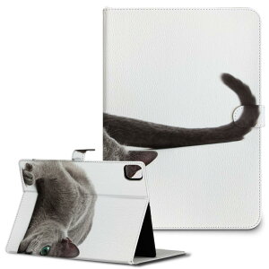 iPad10.9 10 iPadPro13(M4) iPadPro11(M4) iPadPro111/2/3 iPadMini 6 iPadAir4 iPadAir13(M2) p ^ubg P[X Apple Abv iPadpP[X 蒠^ Jo[ ܂ v ʐ^@@L@