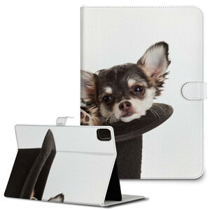 iPad10.9 10 iPadPro13(M4) iPadPro11(M4) iPadPro111/2/3 iPadMini 6 iPadAir4 iPadAir13(M2) p ^ubg P[X Apple Abv iPadpP[X 蒠^ Jo[ ܂ v ʐ^@@ 006