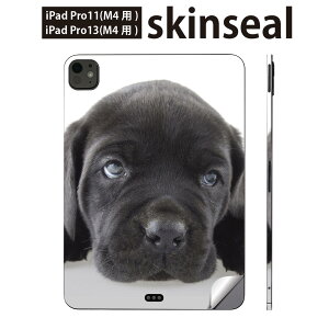 iPadPro 11(M4) iPadPro 13(M4) 2024N 5 p XLV[ 11C` 13C` ipad pro Ή m[gp\R Jo[ P[X tB XebJ[ ANZT[ ی   t`uhbN _