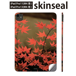 iPadPro 11(M4) iPadPro 13(M4) 2024N 5 p XLV[ 11C` 13C` ipad pro Ή m[gp\R Jo[ P[X tB XebJ[ ANZT[ ی H@݂@i@gt@00013