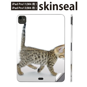 iPadPro 11(M4) iPadPro 13(M4) 2024N 5 p XLV[ 11C` 13C` ipad pro Ή m[gp\R Jo[ P[X tB XebJ[ ANZT[ ی lR@qL@000915