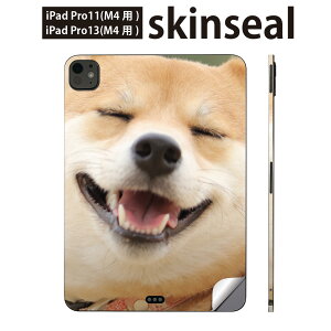 iPadPro 11(M4) iPadPro 13(M4) 2024N 5 p XLV[ 11C` 13C` ipad pro Ή m[gp\R Jo[ P[X tB XebJ[ ANZT[ ی @Č@000926