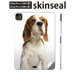 iPadPro 11(M4) iPadPro 13(M4) 2024N 5 p XLV[ 11C` 13C` ipad pro Ή m[gp\R Jo[ P[X tB XebJ[ ANZT[ ی @r[O@001147