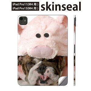 iPadPro 11(M4) iPadPro 13(M4) 2024N 5 p XLV[ 11C` 13C` ipad pro Ή m[gp\R Jo[ P[X tB XebJ[ ANZT[ ی @u^@@001228