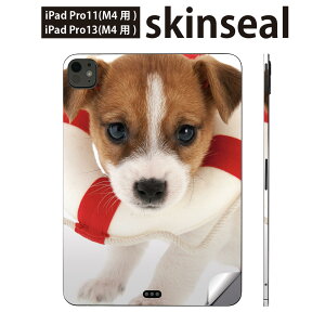 iPadPro 11(M4) iPadPro 13(M4) 2024N 5 p XLV[ 11C` 13C` ipad pro Ή m[gp\R Jo[ P[X tB XebJ[ ANZT[ ی @@001242