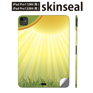 iPadPro 11(M4) iPadPro 13(M4) 2024N 5 p XLV[ 11C` 13C` ipad pro Ή m[gp\R Jo[ P[X tB XebJ[ ANZT[ ی z@001432